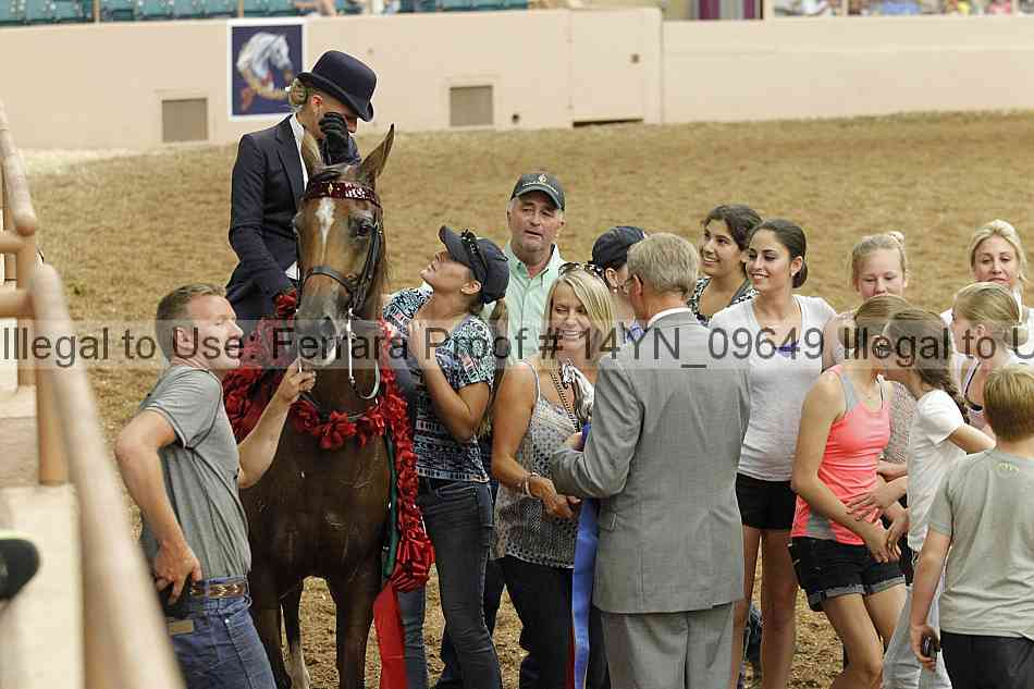 Proof 14yn_09649