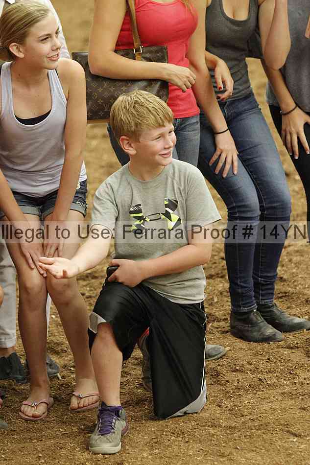 Proof 14yn_09653