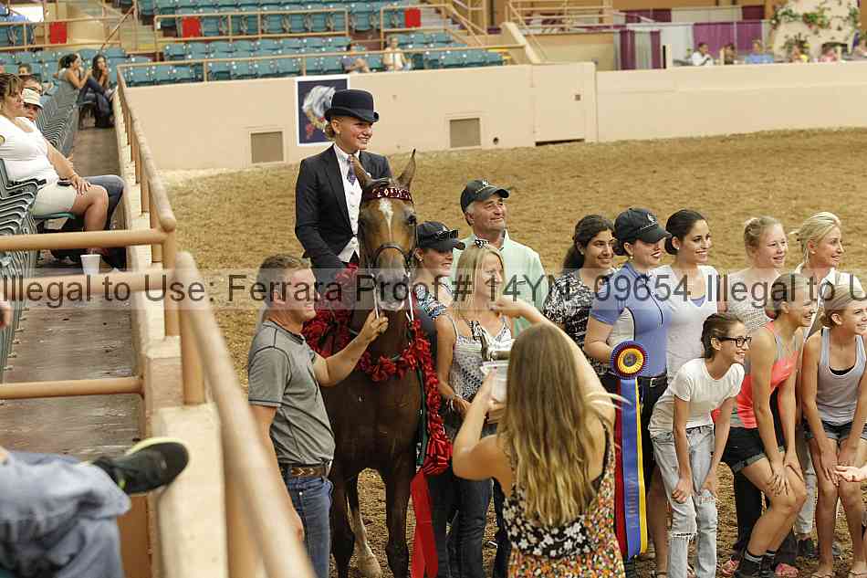 Proof 14yn_09654