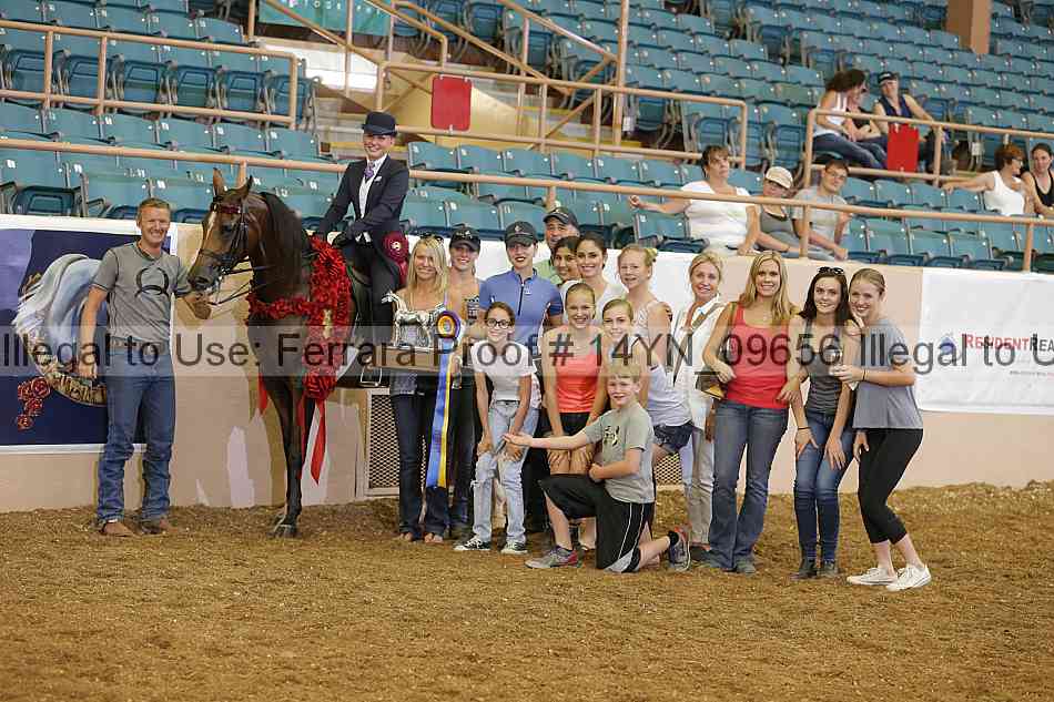 Proof 14yn_09656