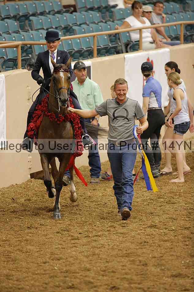 Proof 14yn_09663