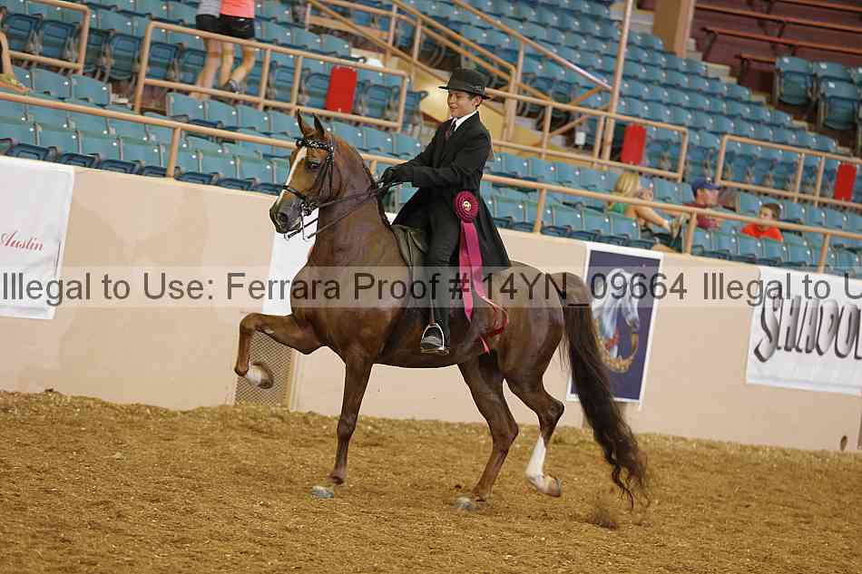 Proof 14yn_09664