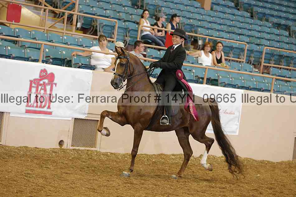 Proof 14yn_09665