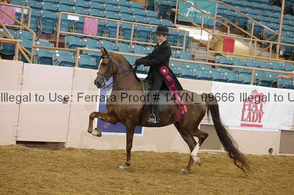 Proof 14yn_09666