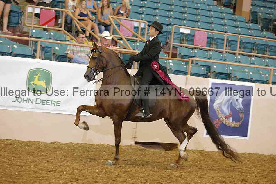 Proof 14yn_09667