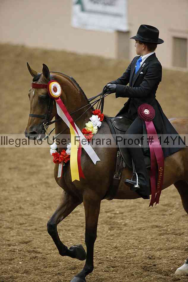 Proof 14yn_09668