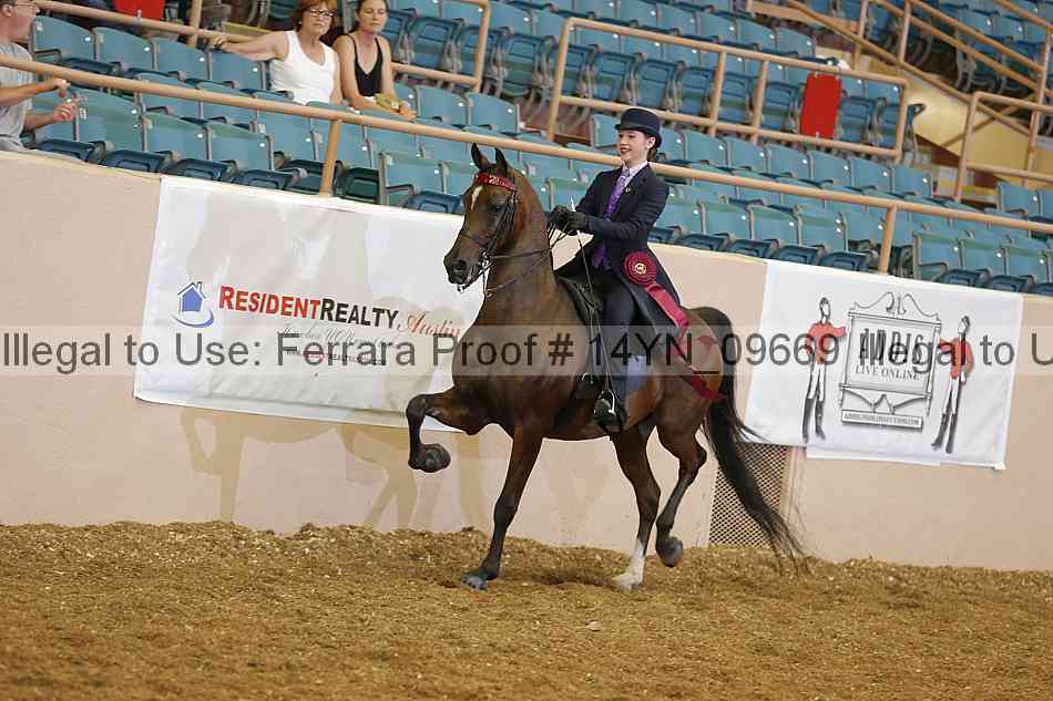 Proof 14yn_09669