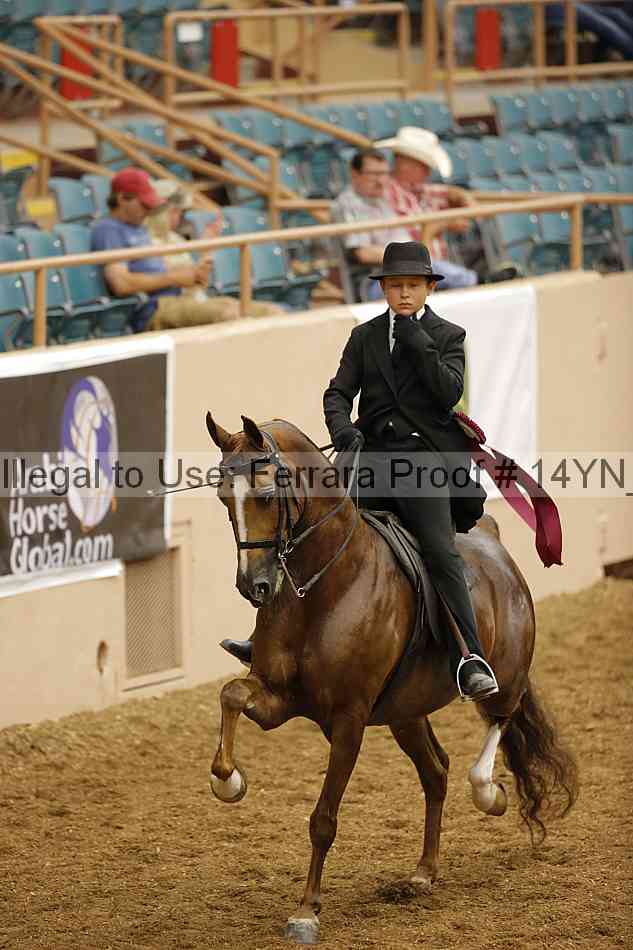 Proof 14yn_09670