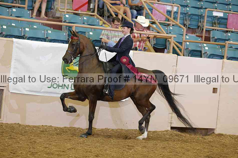 Proof 14yn_09671