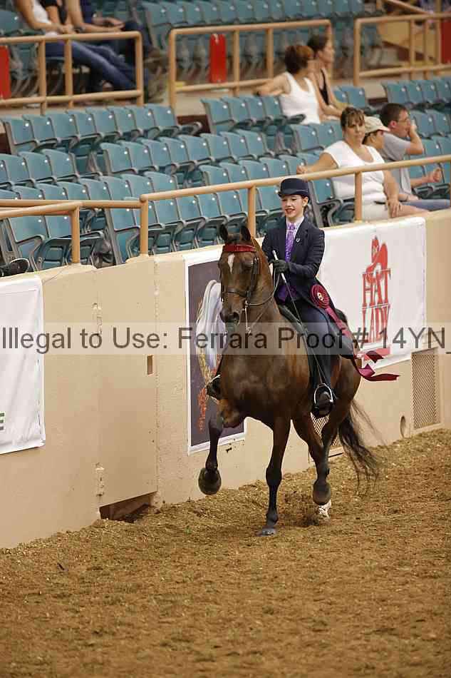 Proof 14yn_09672