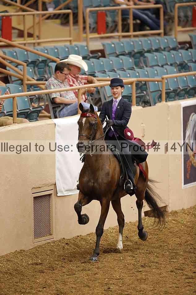 Proof 14yn_09673