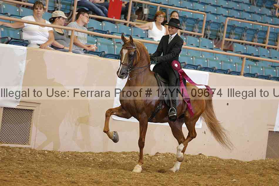 Proof 14yn_09674