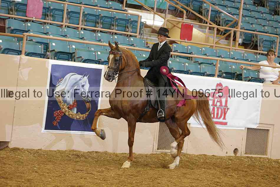 Proof 14yn_09675