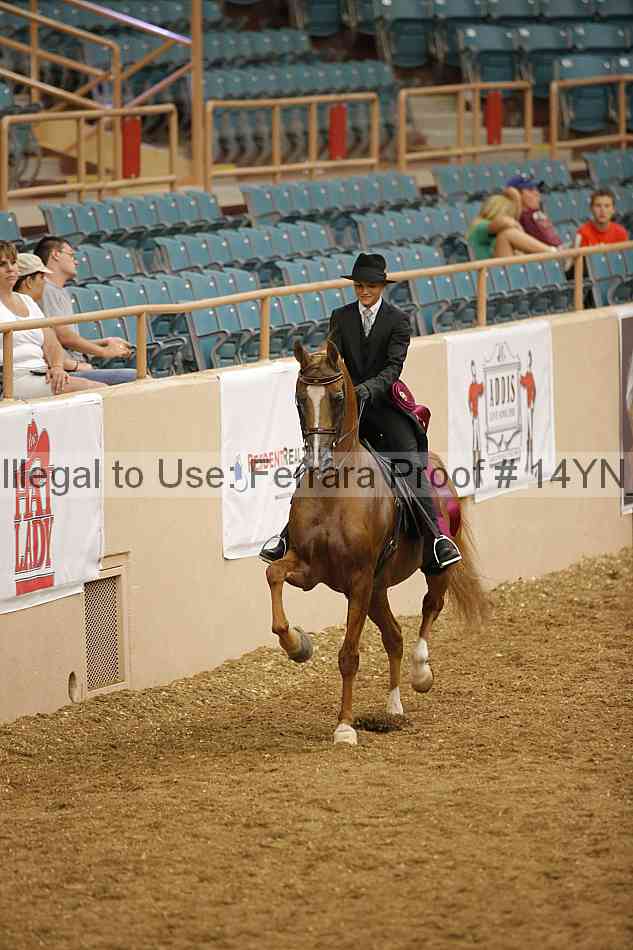Proof 14yn_09676