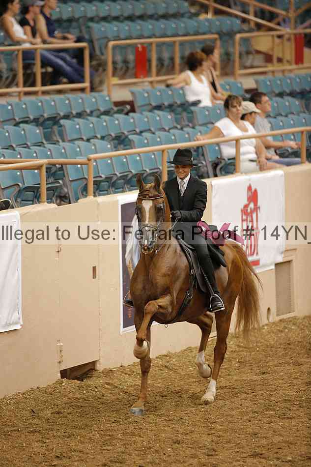 Proof 14yn_09677