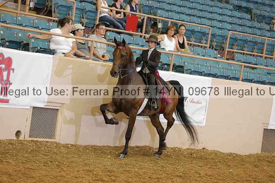 Proof 14yn_09678