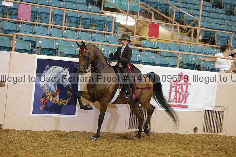 Proof 14yn_09679