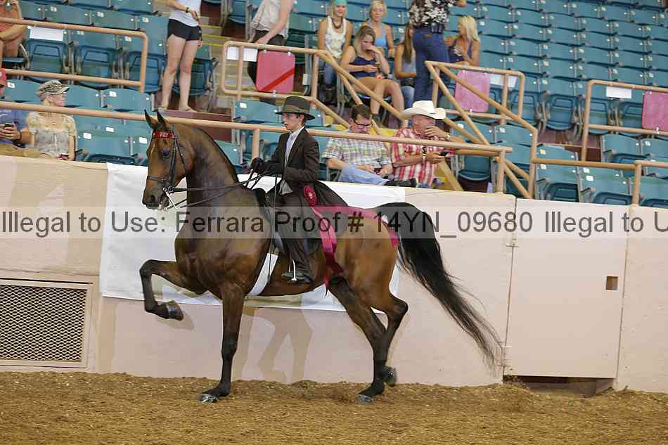 Proof 14yn_09680