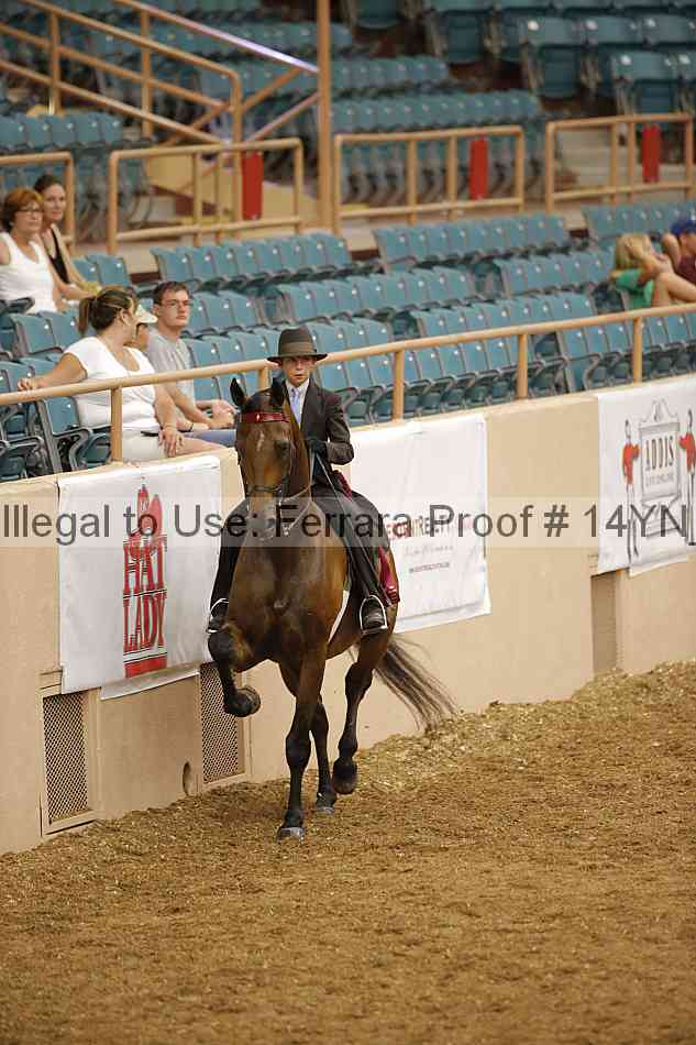 Proof 14yn_09681