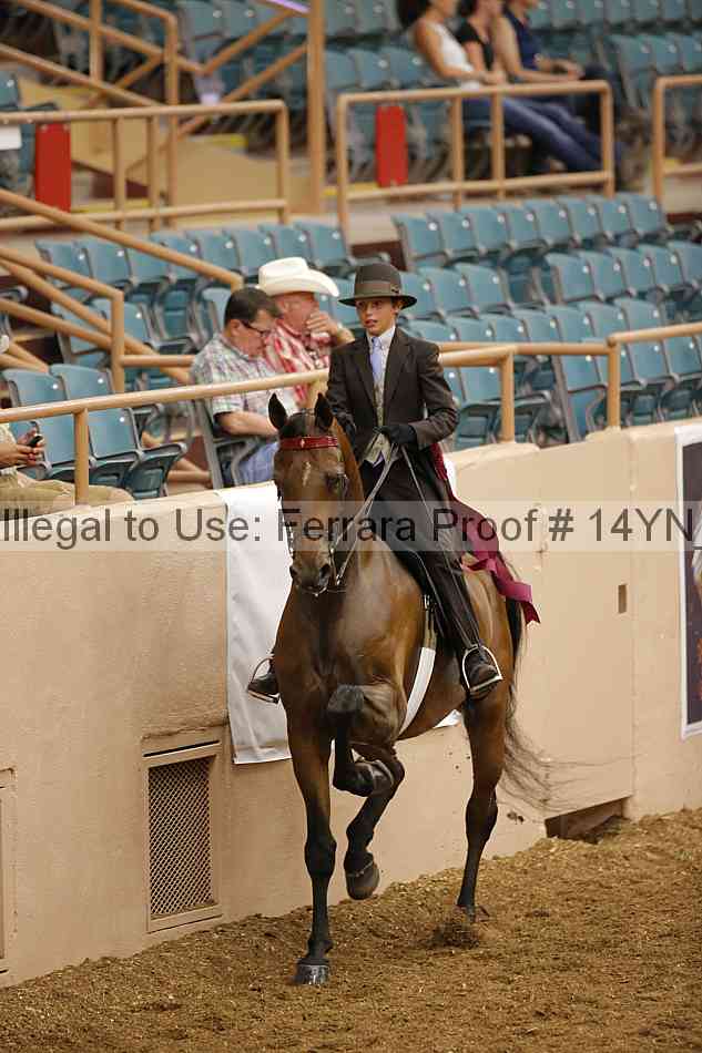 Proof 14yn_09682