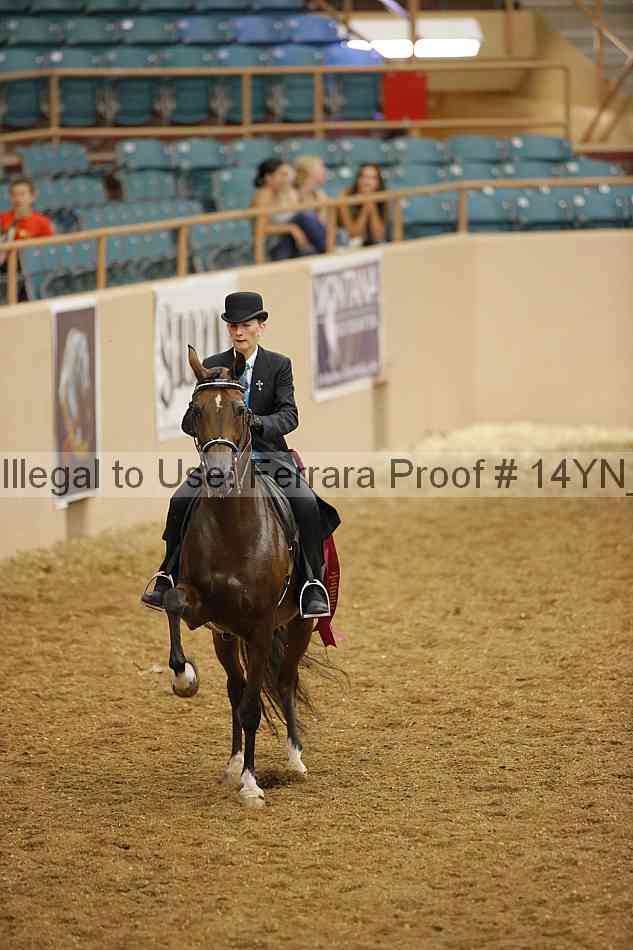 Proof 14yn_09683