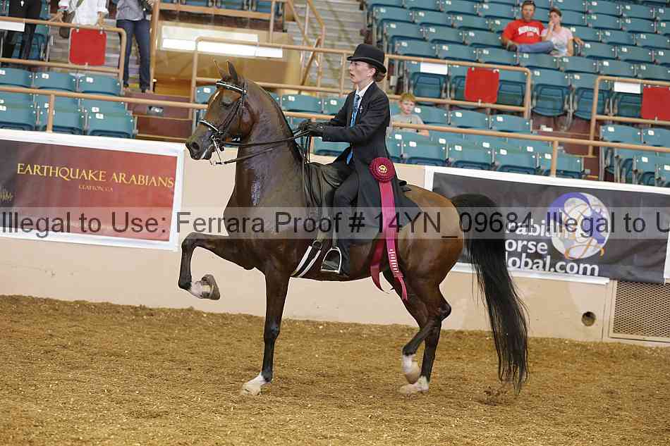 Proof 14yn_09684
