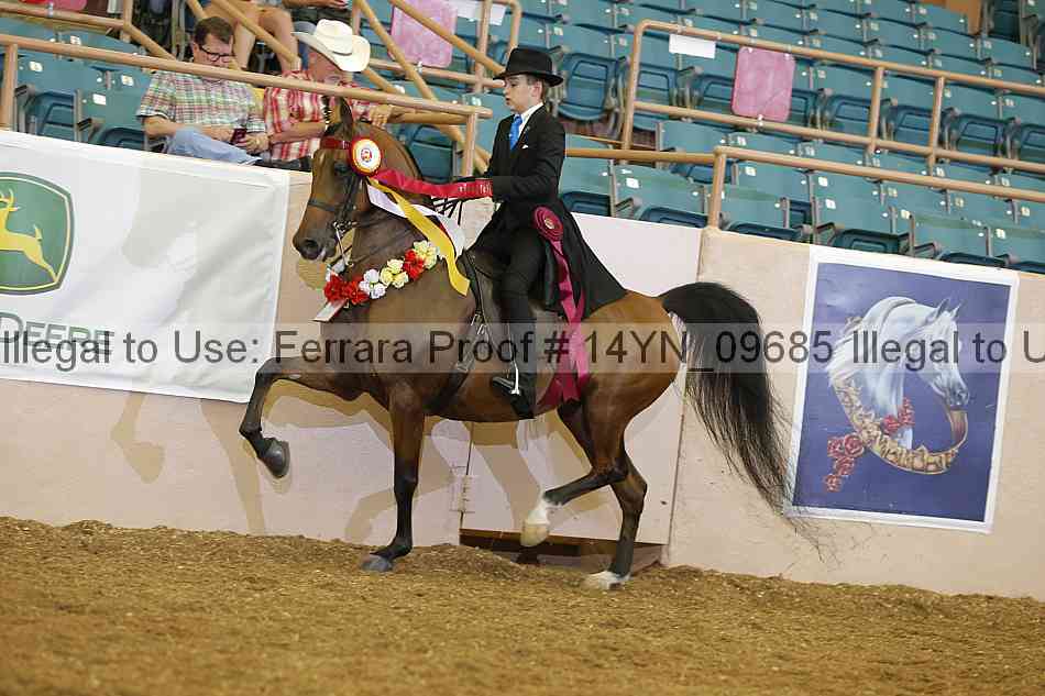 Proof 14yn_09685