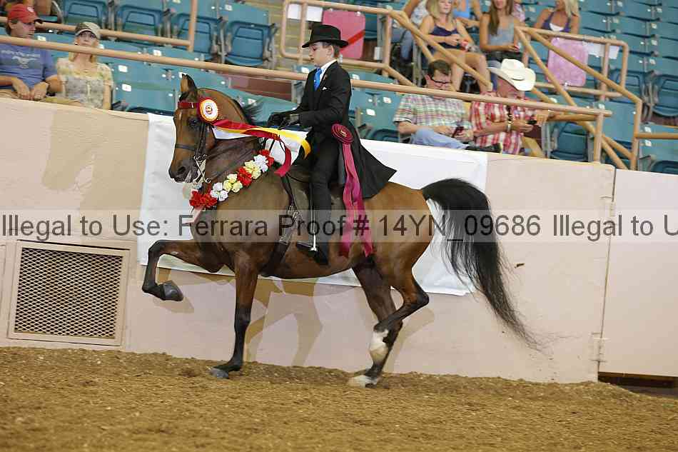 Proof 14yn_09686