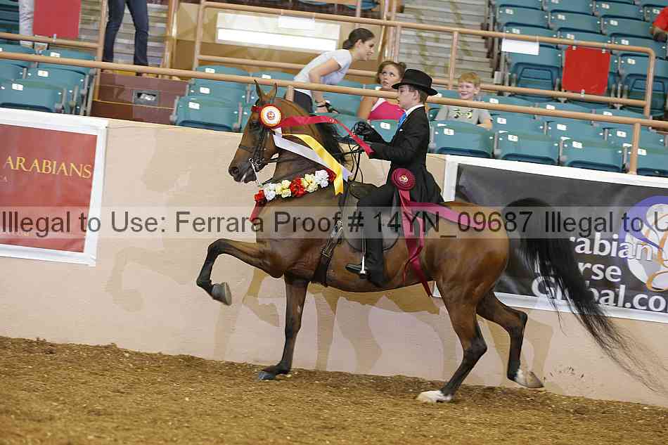 Proof 14yn_09687