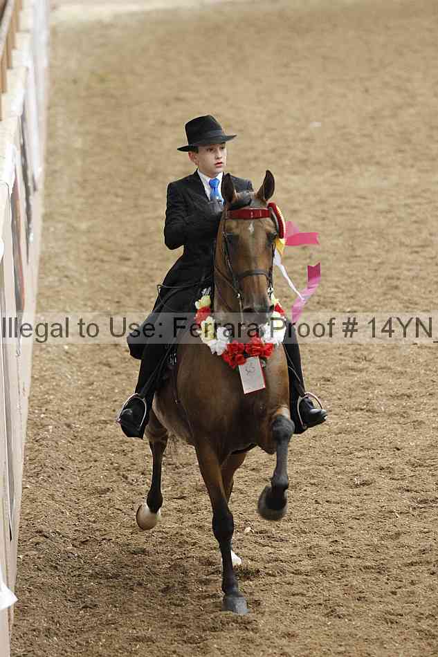 Proof 14yn_09688