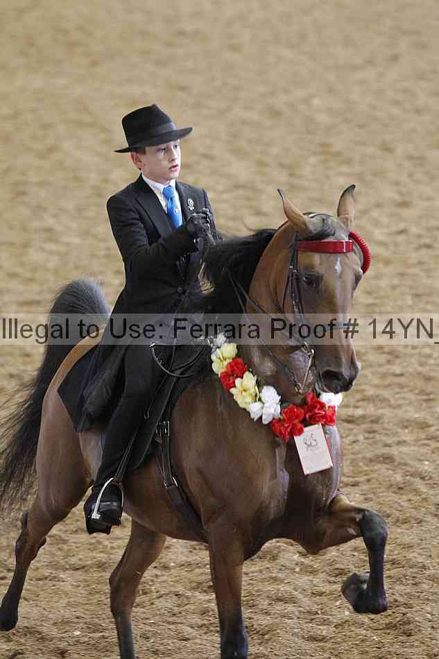 Proof 14yn_09689