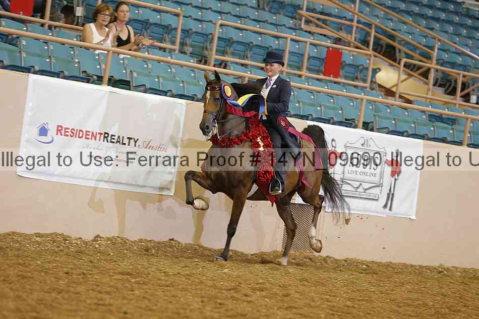 Proof 14yn_09690