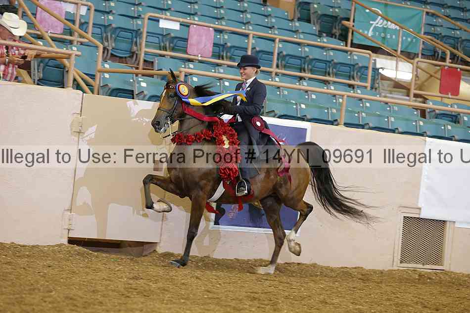 Proof 14yn_09691