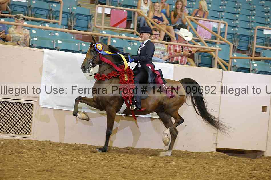 Proof 14yn_09692