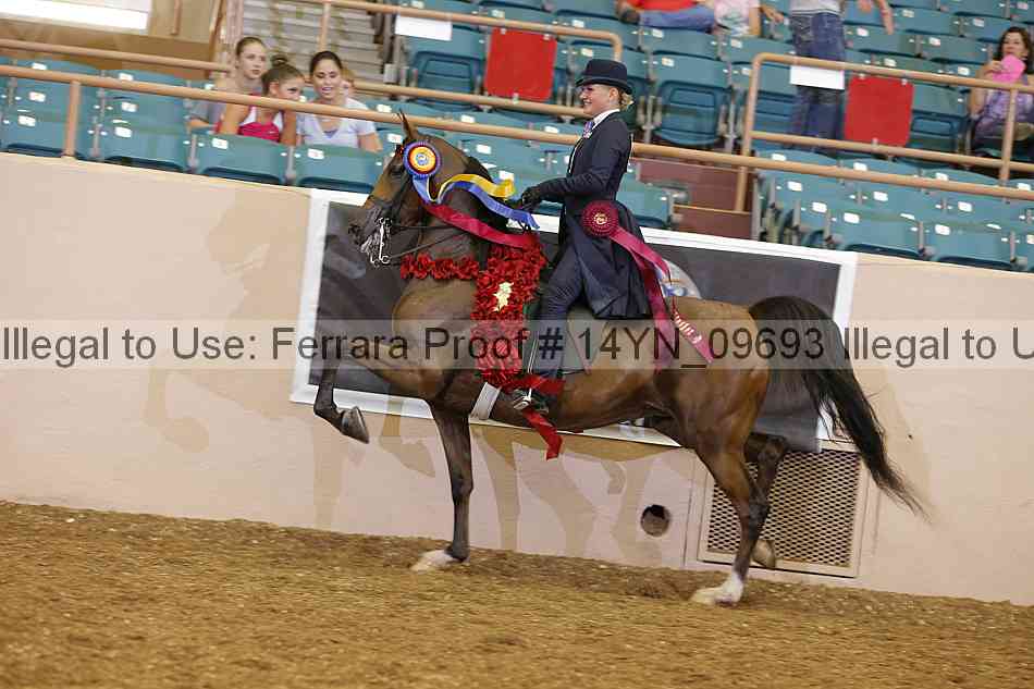Proof 14yn_09693