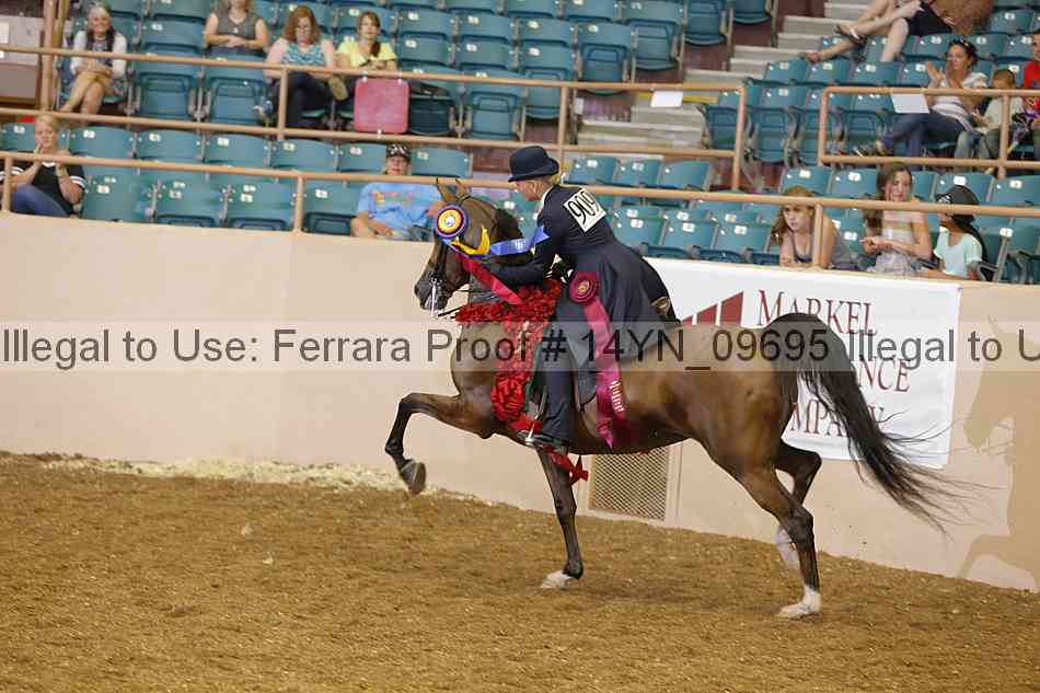 Proof 14yn_09695