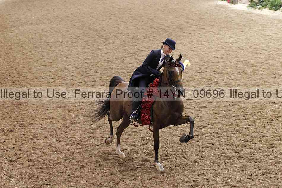 Proof 14yn_09696
