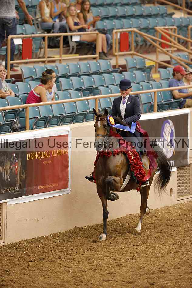 Proof 14yn_09697