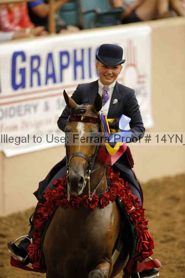Proof 14yn_09700
