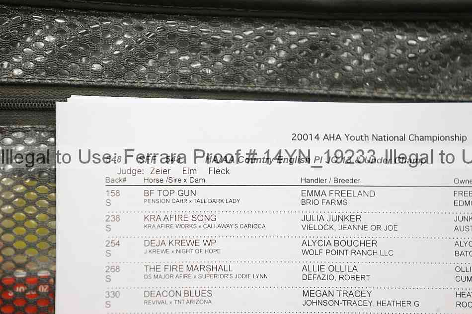 Proof 14yn_19233
