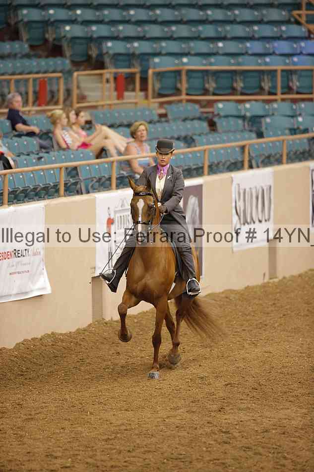 Proof 14yn_19239