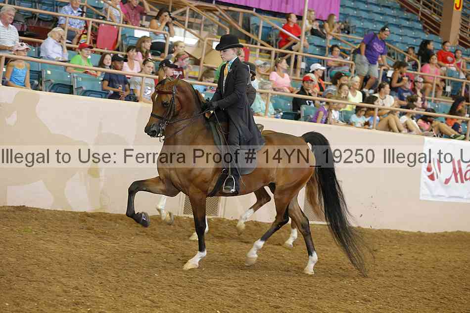 Proof 14yn_19250