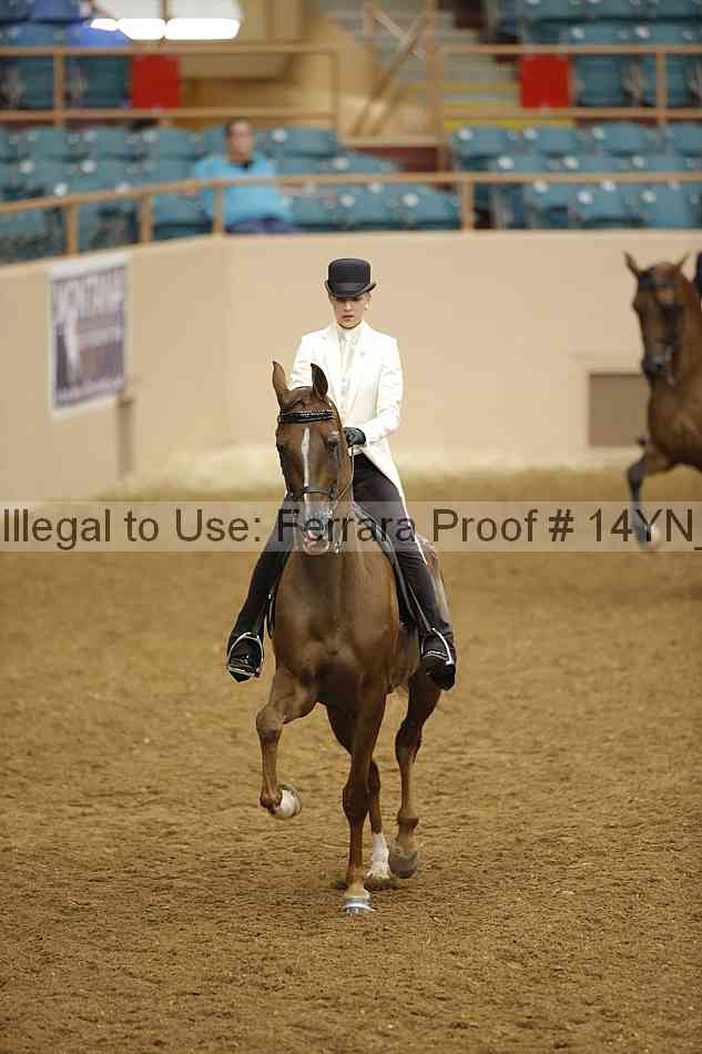 Proof 14yn_19263