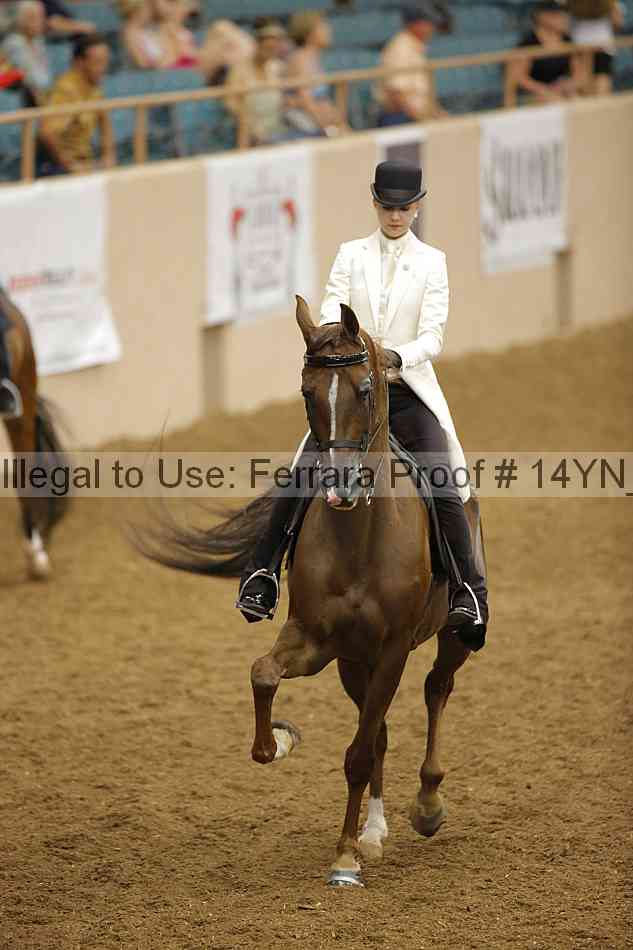 Proof 14yn_19264