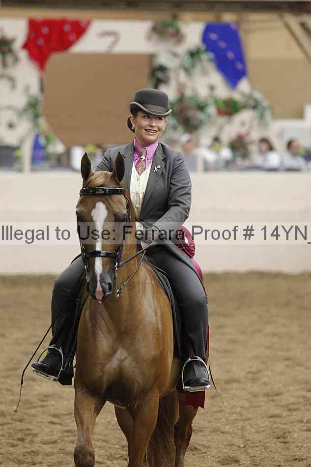 Proof 14yn_19302