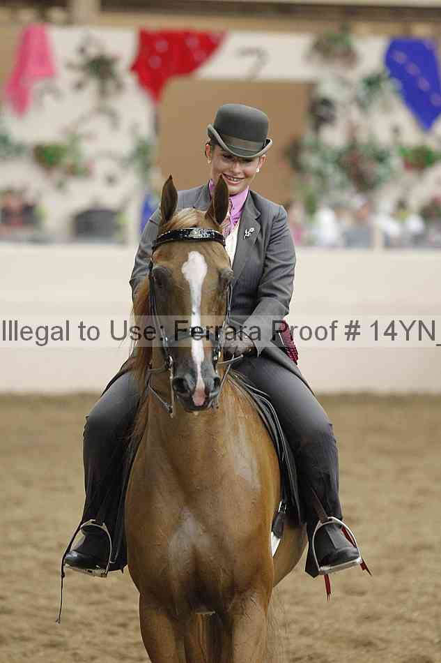 Proof 14yn_19303