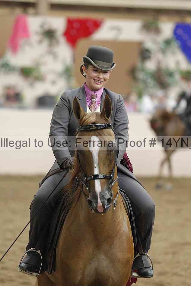 Proof 14yn_19304