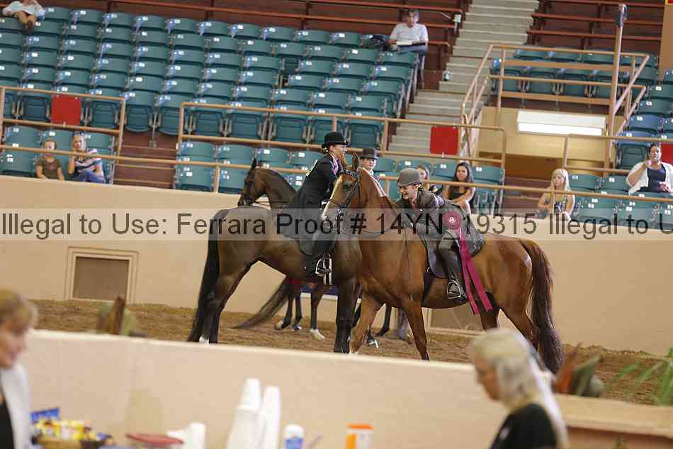 Proof 14yn_19315