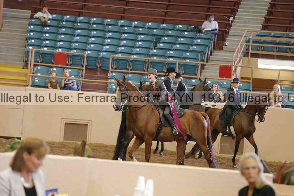 Proof 14yn_19316