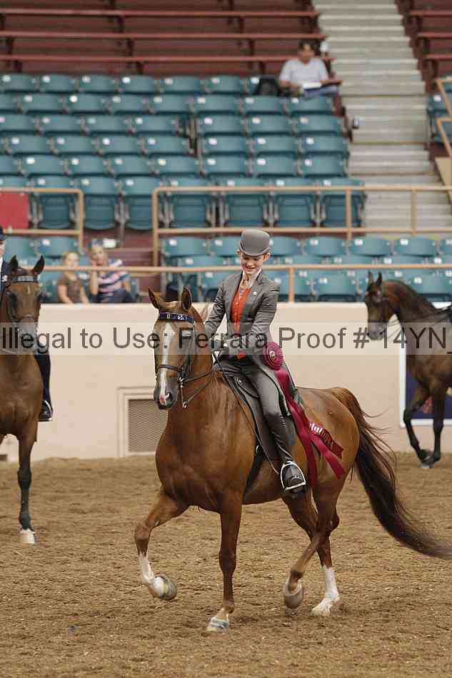 Proof 14yn_19318